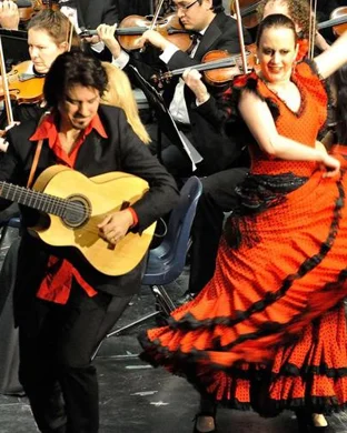 Alejandro Sanz San Jose