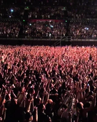 SixtiesMania San Jose