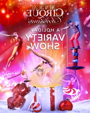 A Magical Cirque Christmas San Jose
