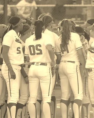 Arizona Wildcats Softball Berkeley