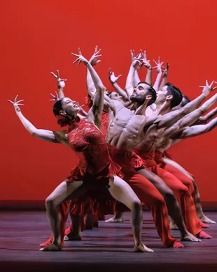 Ballet Hispanico Tracy