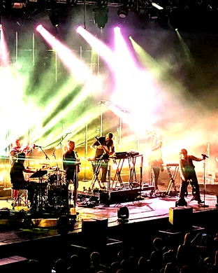 Bonobo Oakland