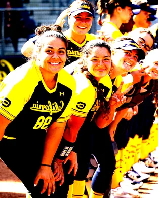 California Golden Bears Softball Saratoga