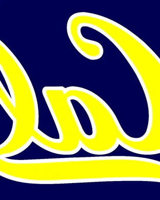 California Golden Bears Saratoga