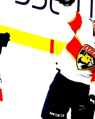 Florida Panthers Sunrise