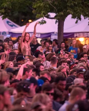 Hippie Sabotage Berkeley