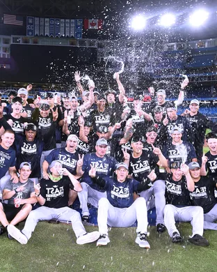 New York Yankees Berkeley