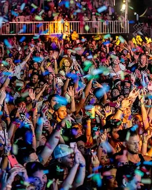 Palm Tree Music Festival Napa