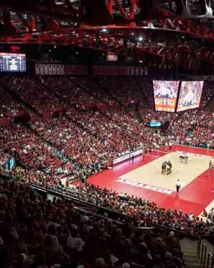 Pittsburgh Panthers Women's Volleyball vs. Stanford Cardinal