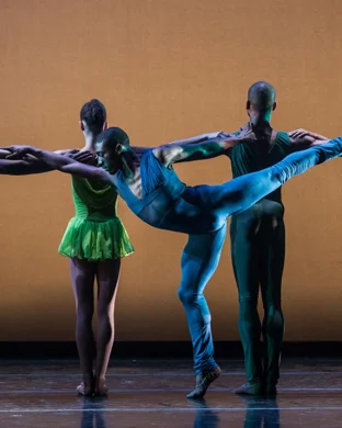 West Valley Dance Company San Jose